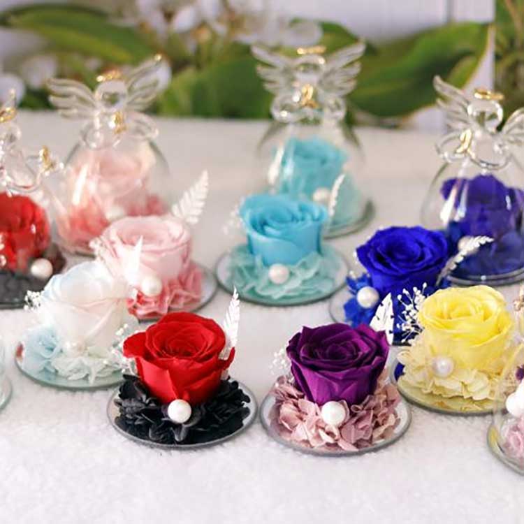 Angelica Rosa Eterna