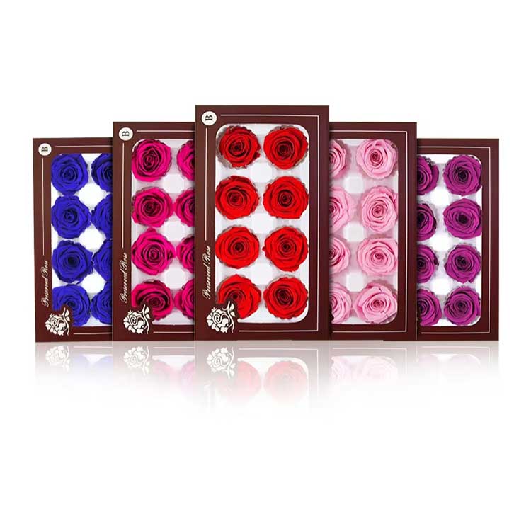 Confezione regalo di rose eterne con 8 fiori