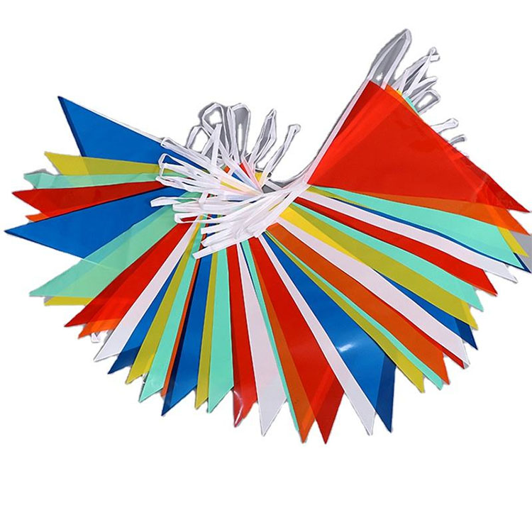 PE Bunting Multi Coloded
