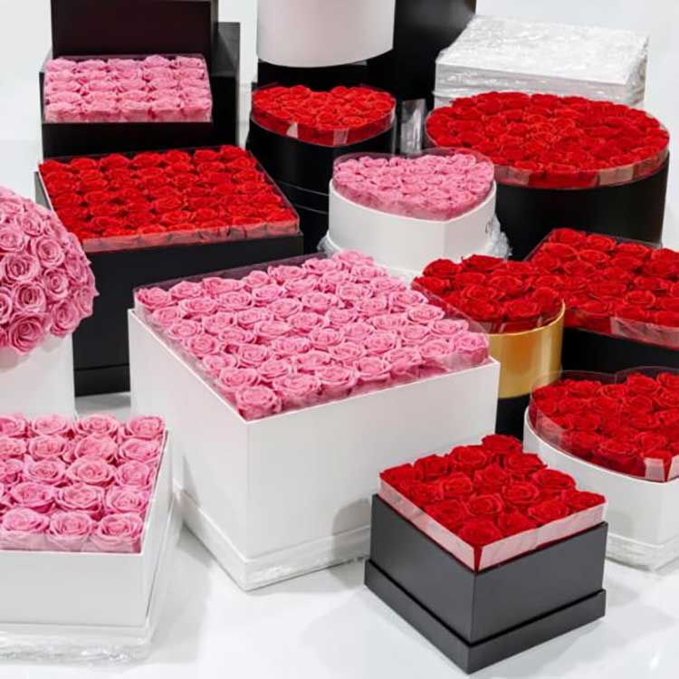 Secchio per abbraccio di fiori stabilizzati