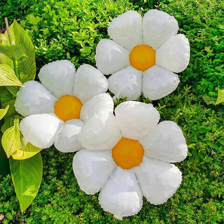 Sei palloncini per fogli di margherite petali
